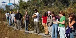 Agriculture courses in the UK for international students