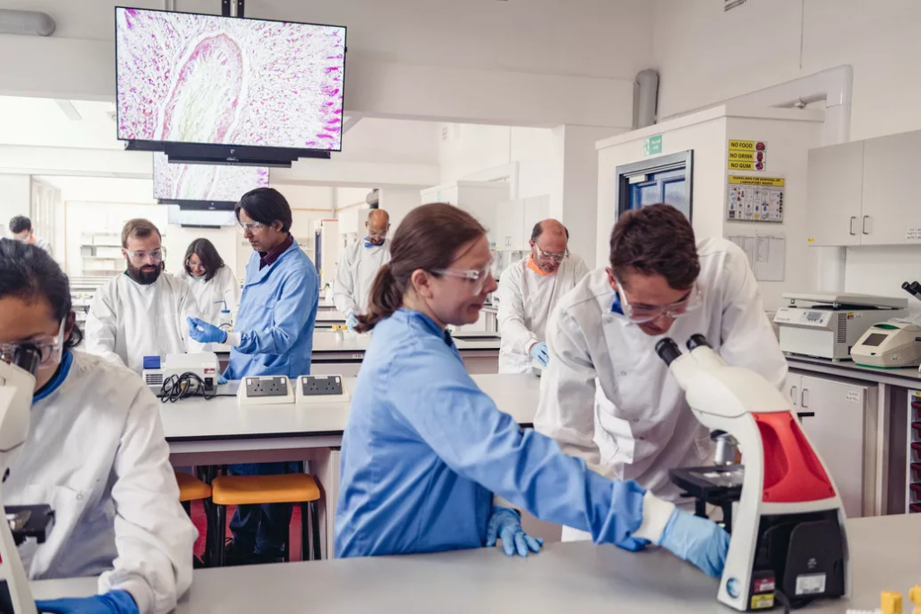 Chemical engineering laboratory in a UK university