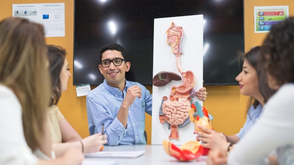 Study Anatomy and Physiology in the UK