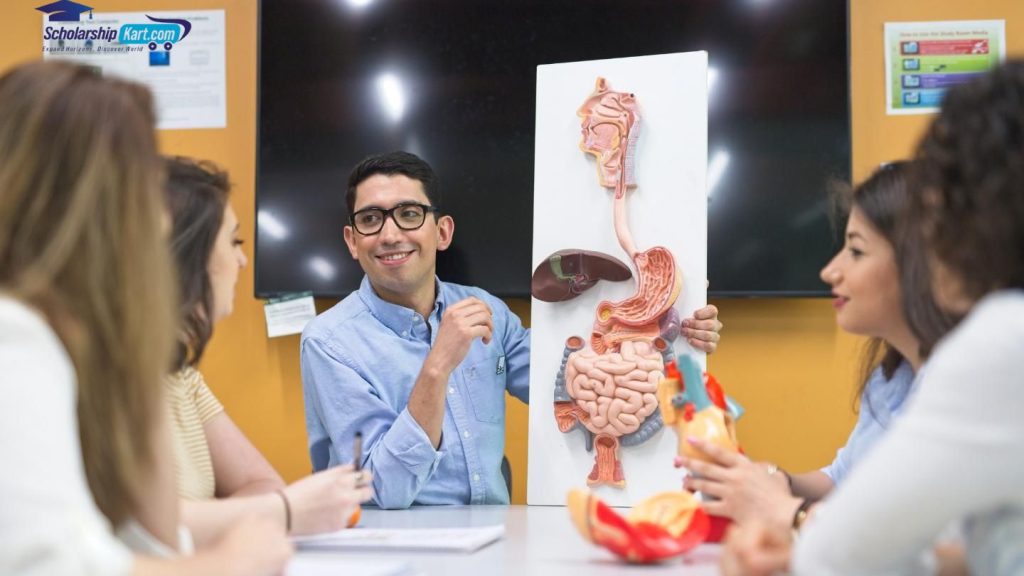 Study Anatomy and Physiology in the UK