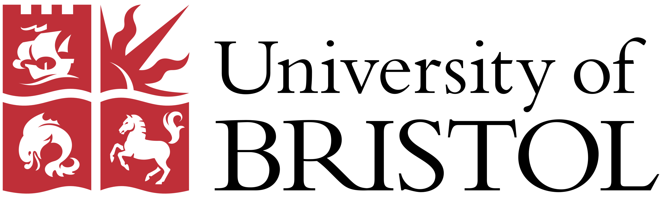 University partner logo