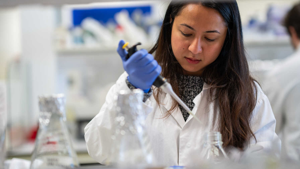 Human and Molecular Genetics MSc- University of Sheffield
