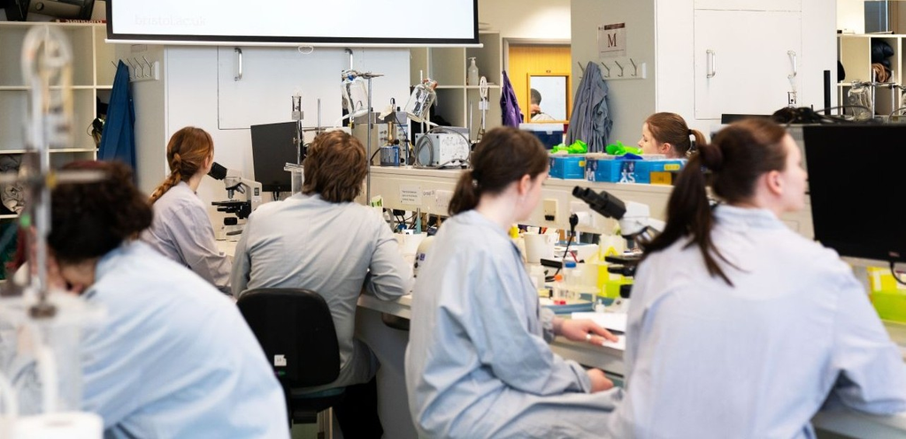 What Will You Study During a Master's in Microbiology in the UK?