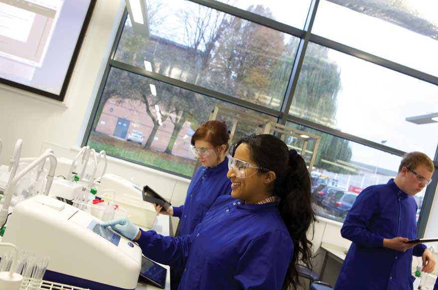 Entry Requirements for a Master's in Microbiology in the UK