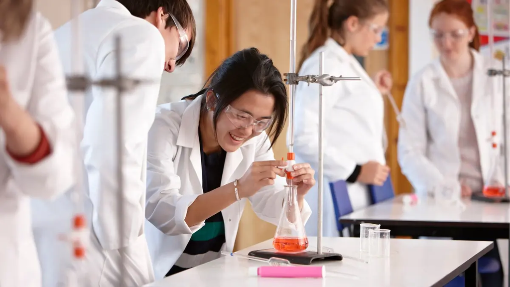 The STEM Pathway