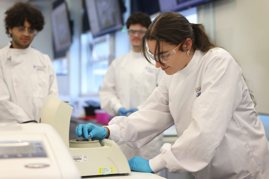 Who Can Apply for a Master's in Cancer Cell Biology in the UK?