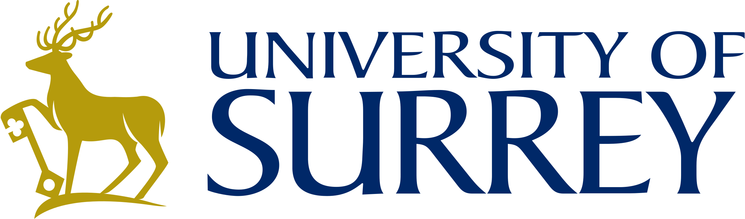 University partner logo